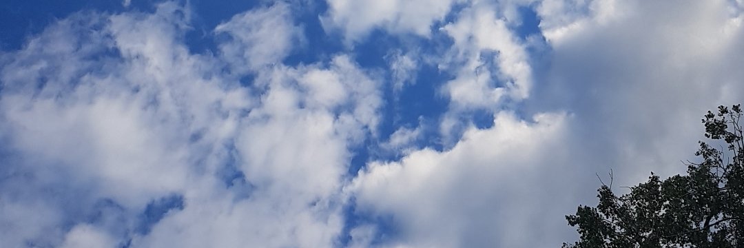 harneetweets's profile banner image