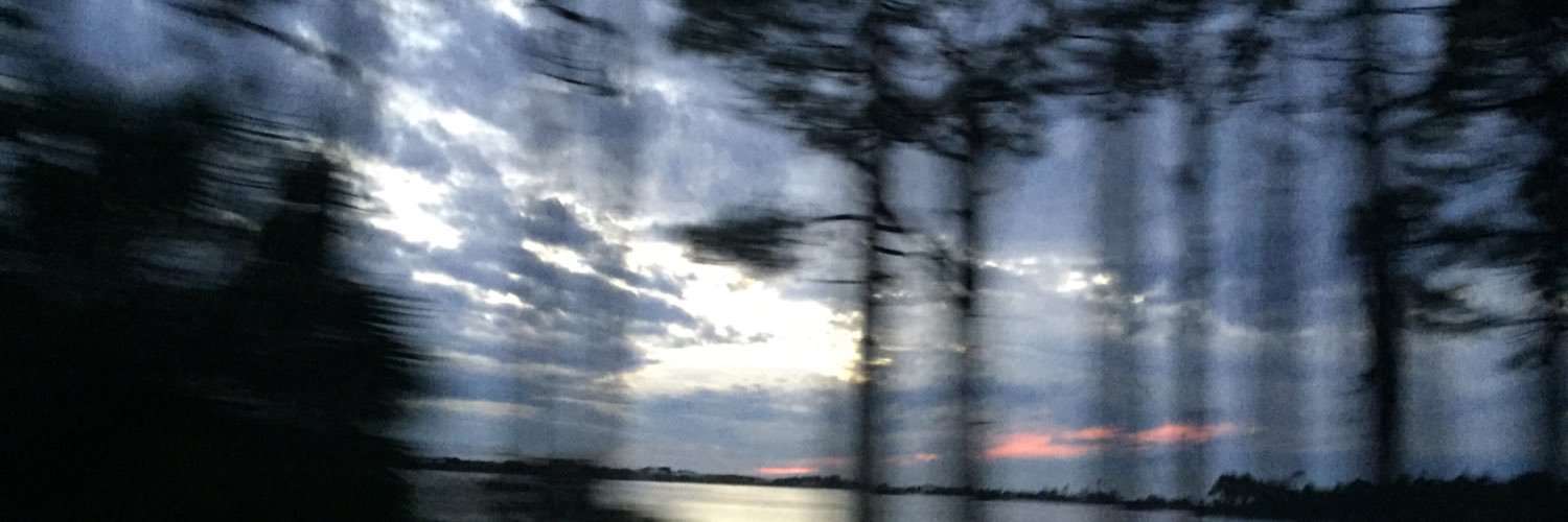 samanthaflem12's profile banner image