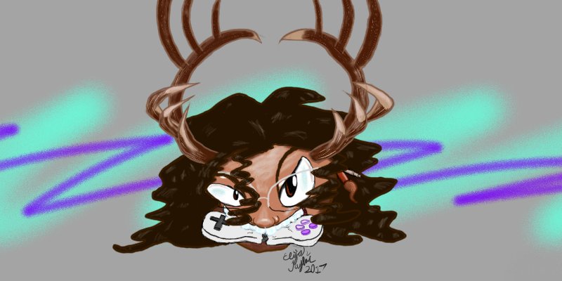 Elkpnp's profile banner image