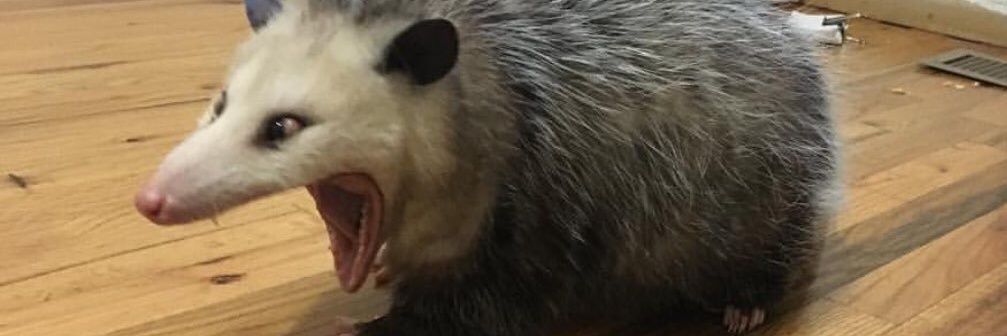 Vandelbristare (fd SOSS!) banner