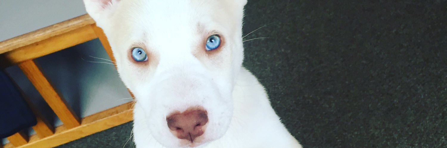 SexyFeetKing😈🦶🏽🔥 banner