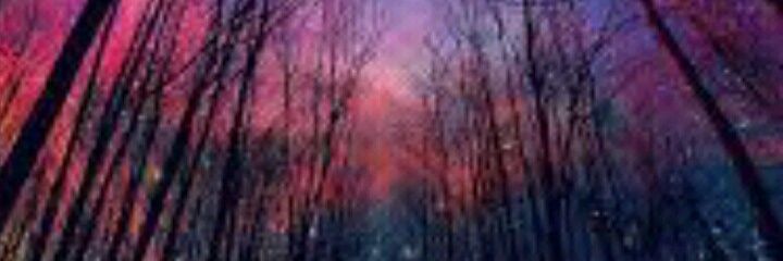 Niico_Cardozo's profile banner image