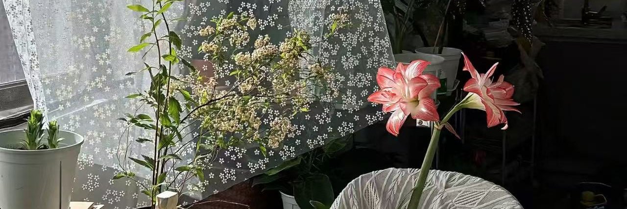 danonhik's profile banner image