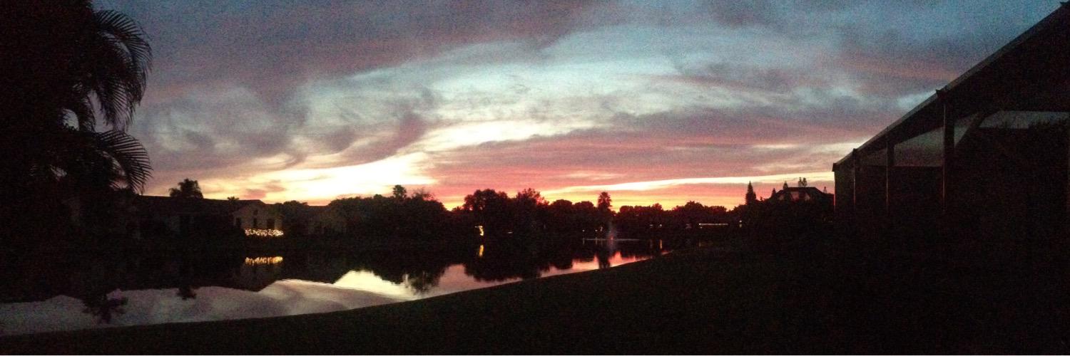 Michelle Urbano banner