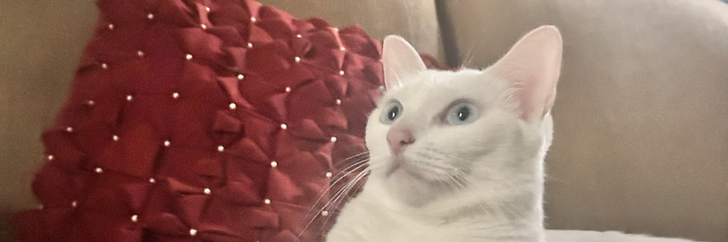 Mári 🥗💚 banner