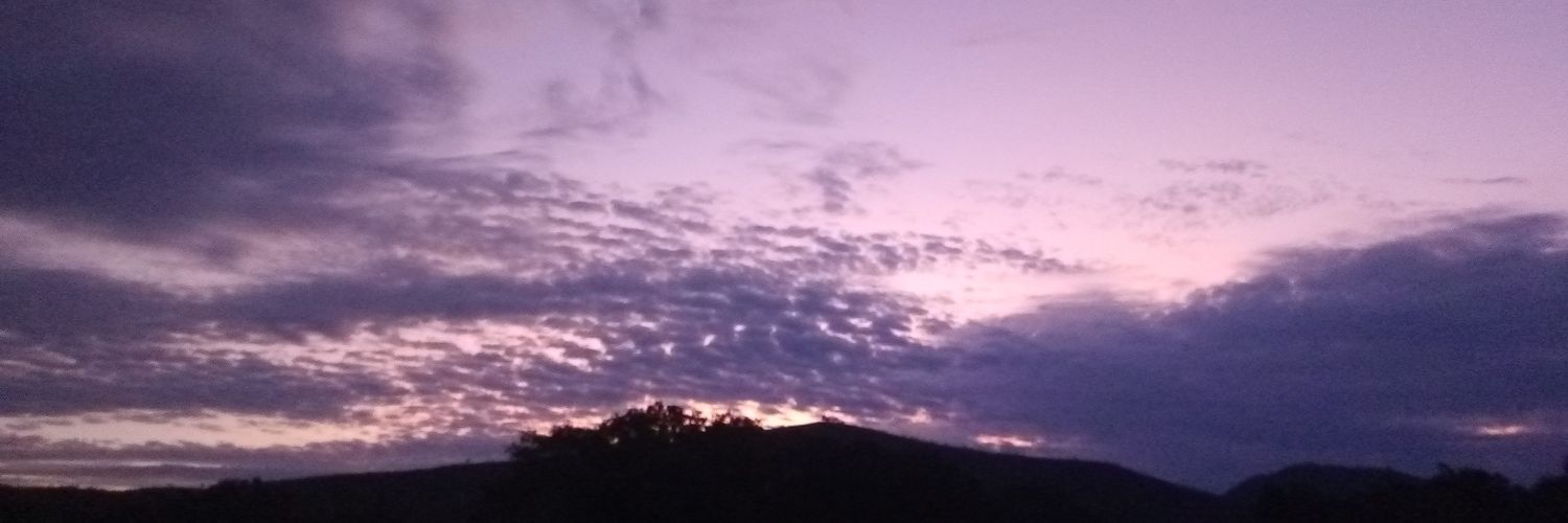 stefa5143's profile banner image