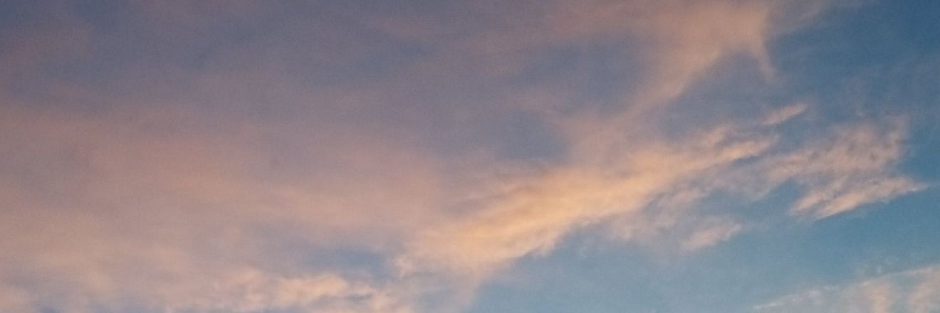 PhizzyWoney's profile banner image