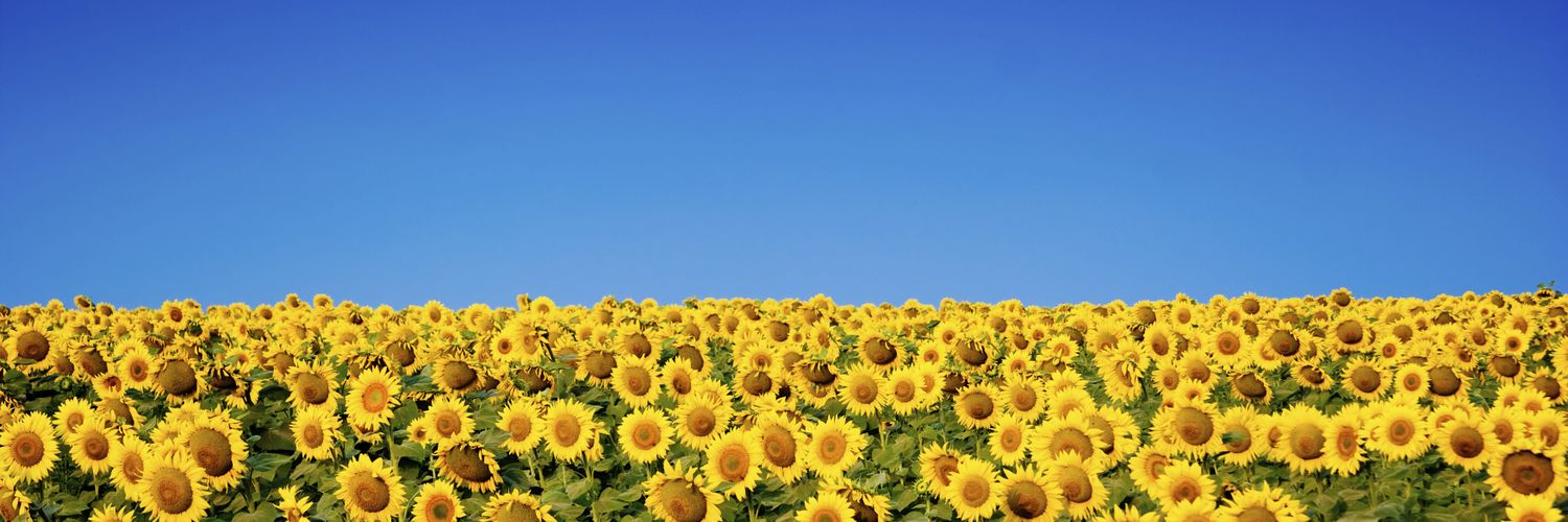 Titus Pullo, member of the Precariat banner