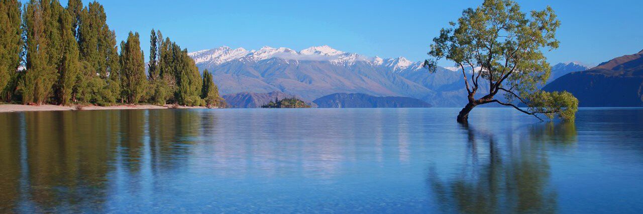 Wanaka App banner