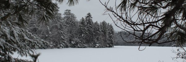 gmfl_nfs Profile Banner