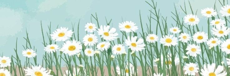 M_Emiliag's profile banner image