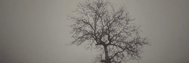 Bufa_Mohammed's profile banner image