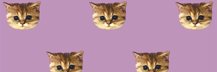 1997Woo's profile banner image