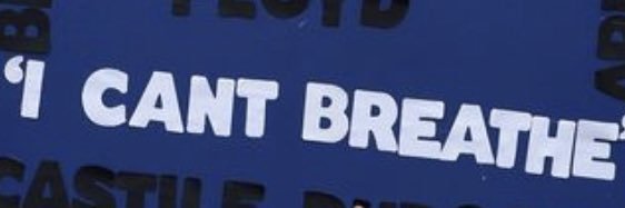 Thierry Wizzy banner