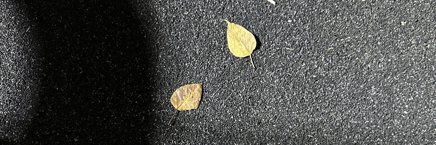 Deamonica97's profile banner image