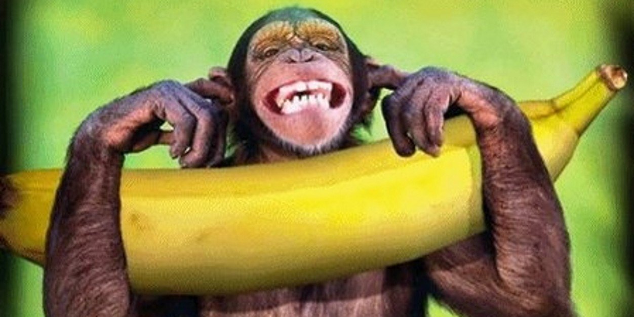 DanteMonkeyman's profile banner image