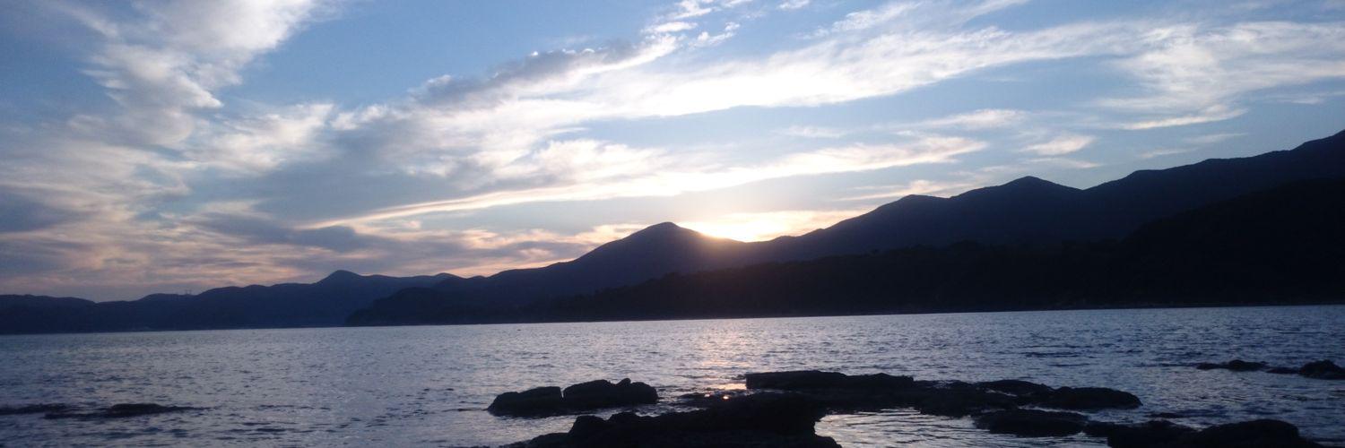 pugyaco's profile banner image