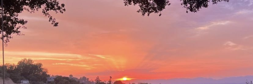 nish_x2's profile banner image