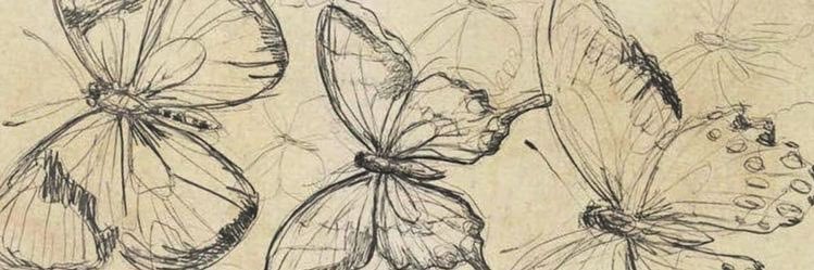 vittmarquess's profile banner image