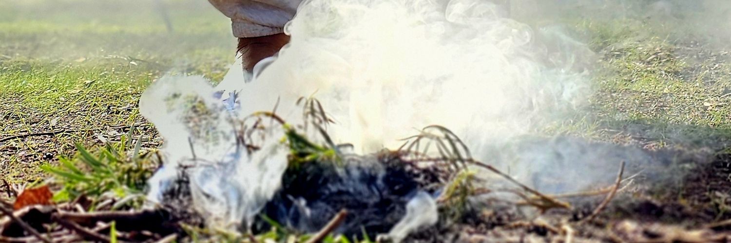 TrindallCathy's profile banner image
