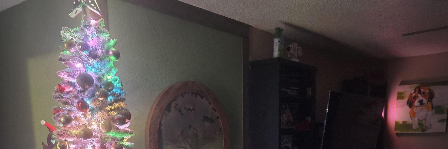 BeezieLBK's profile banner image
