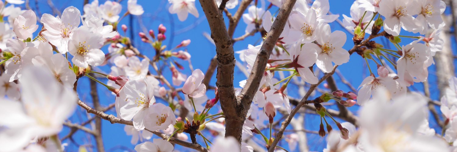 YucaI0925's profile banner image