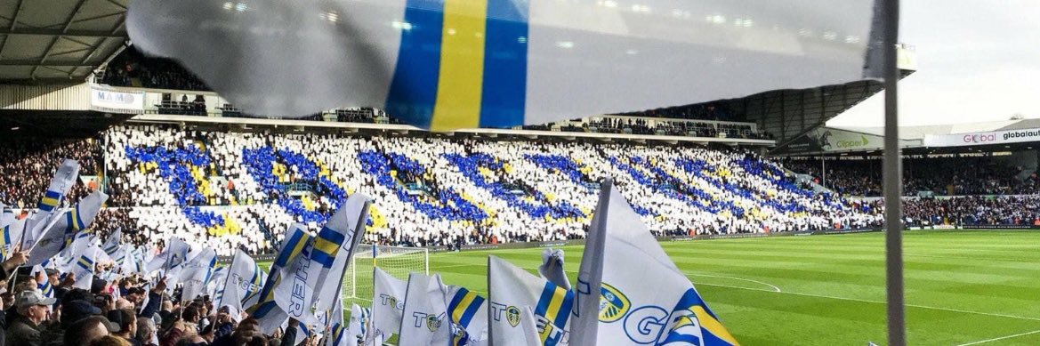 Niall Nelson banner