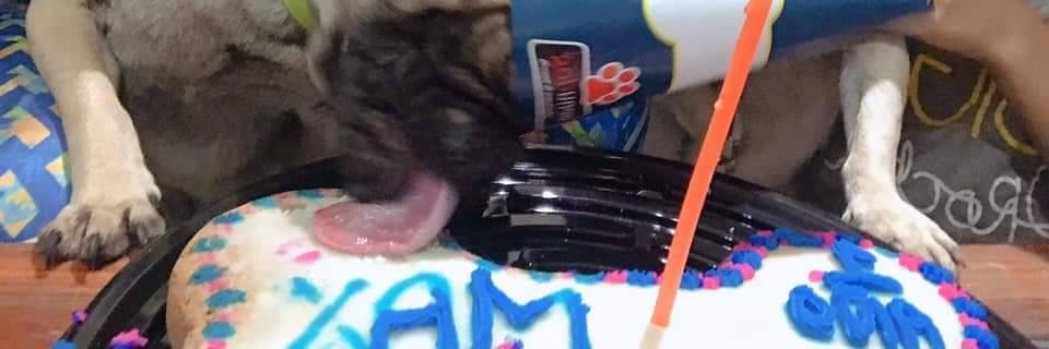 MenuDog's profile banner image