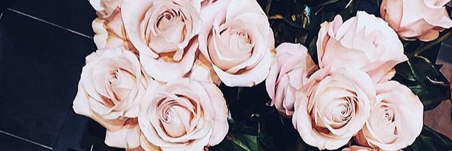 MsLalyLara's profile banner image