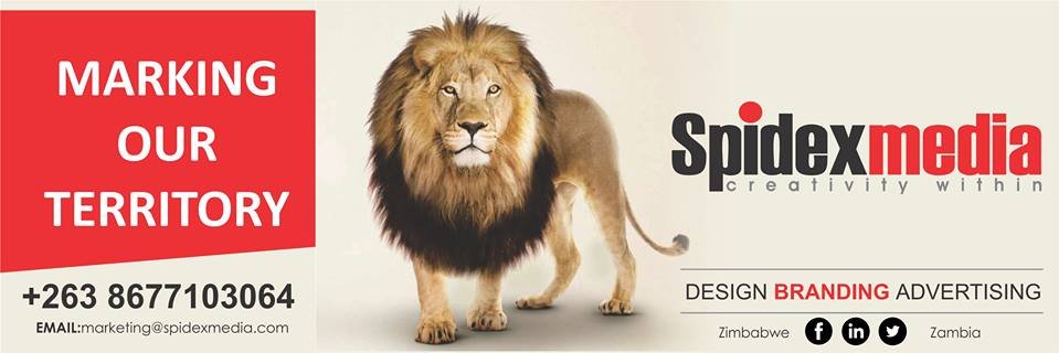 Spidex Media banner