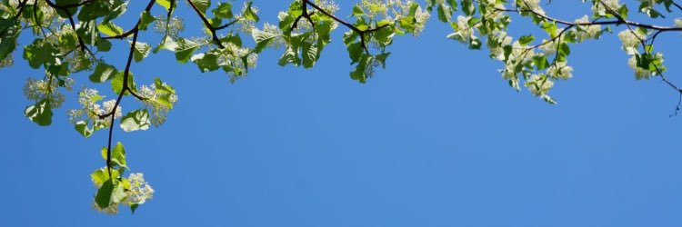 gpwls116's profile banner image