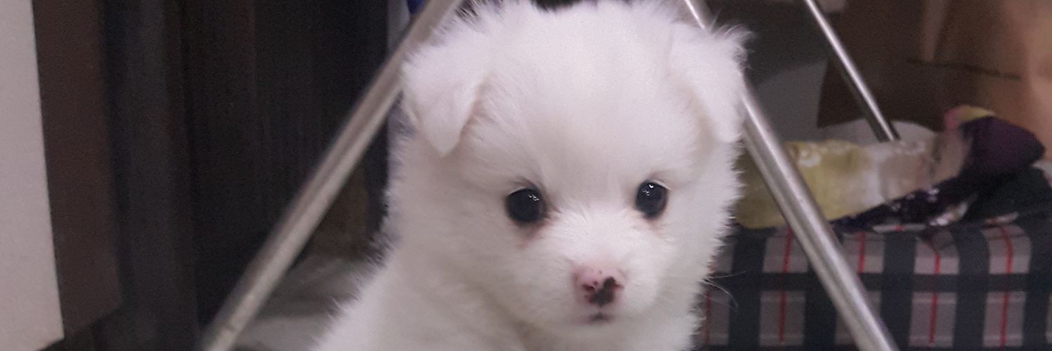 arshhh89's profile banner image