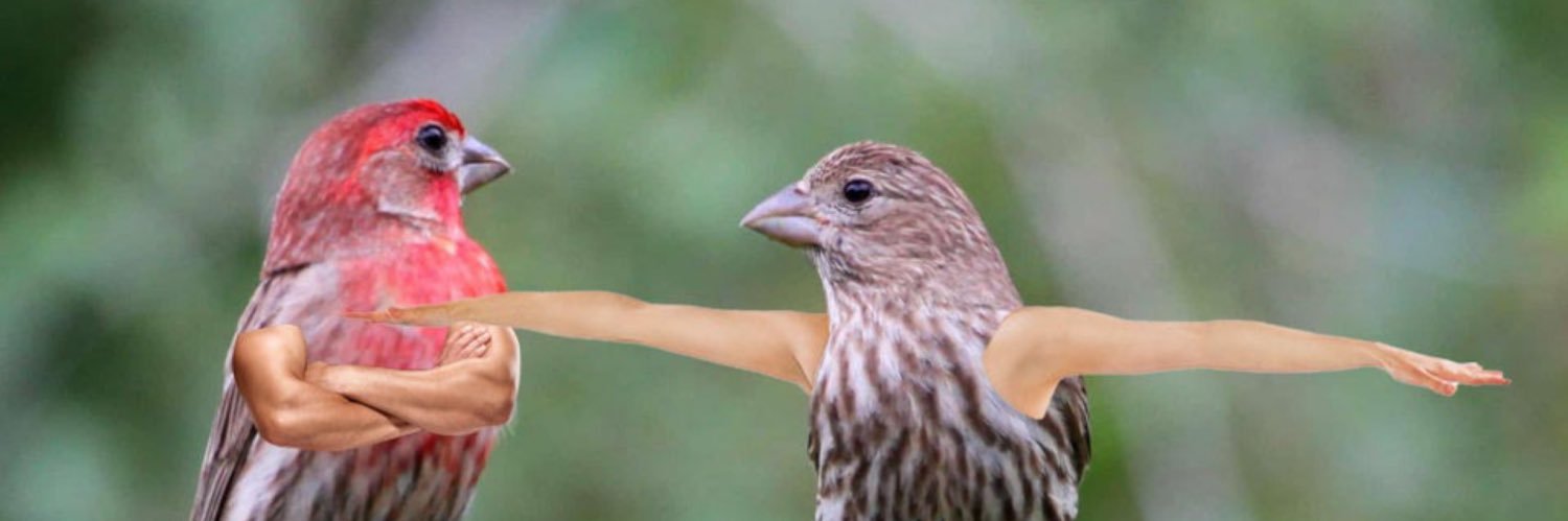 Richdick64's profile banner image