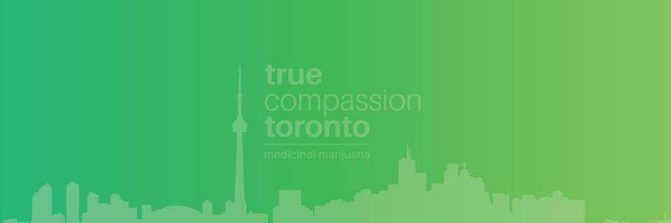 TCTToronto's profile banner image