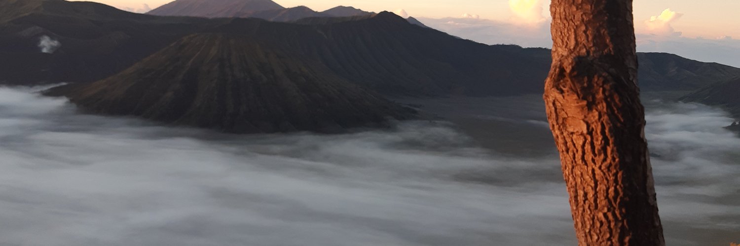 danir_mala's profile banner image