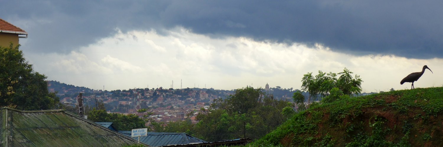 Michiel de Haas banner