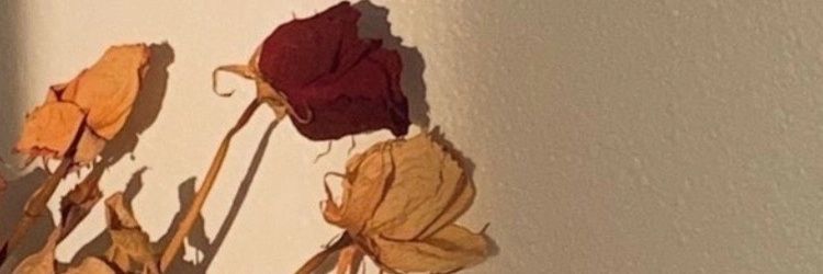tikalyca's profile banner image