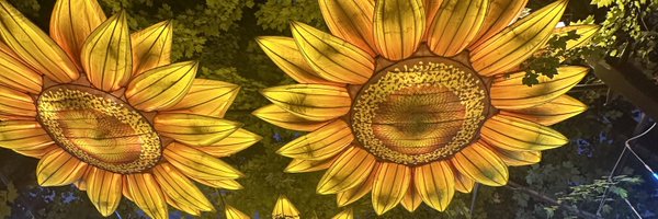 DocPhx Profile Banner