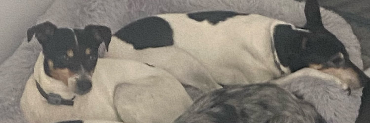MfmMartin's profile banner image