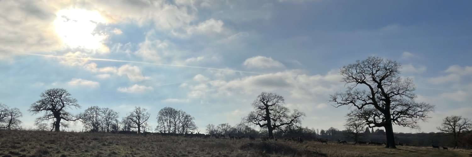 Imogen Tilden banner
