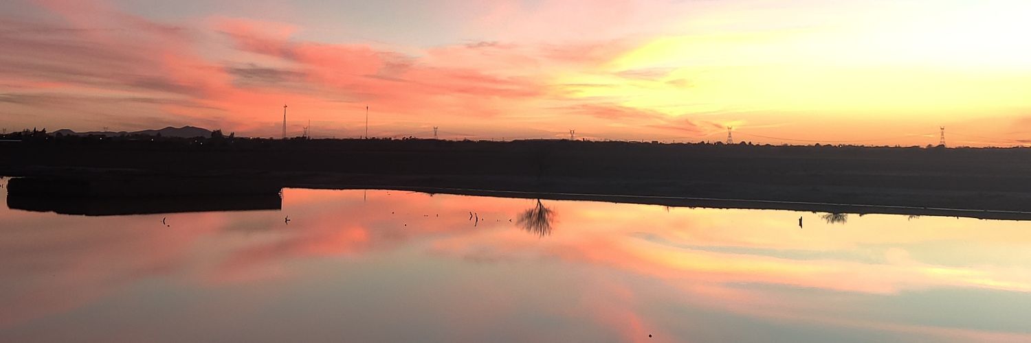 Cynth_Becerra's profile banner image