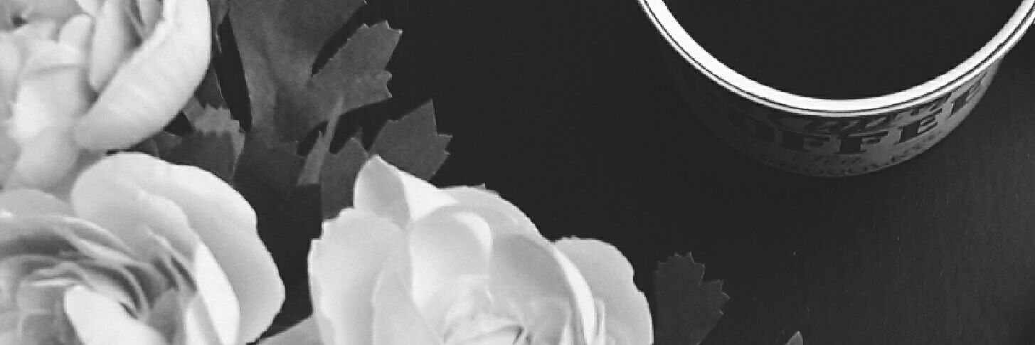 FloLeCorbeau's profile banner image