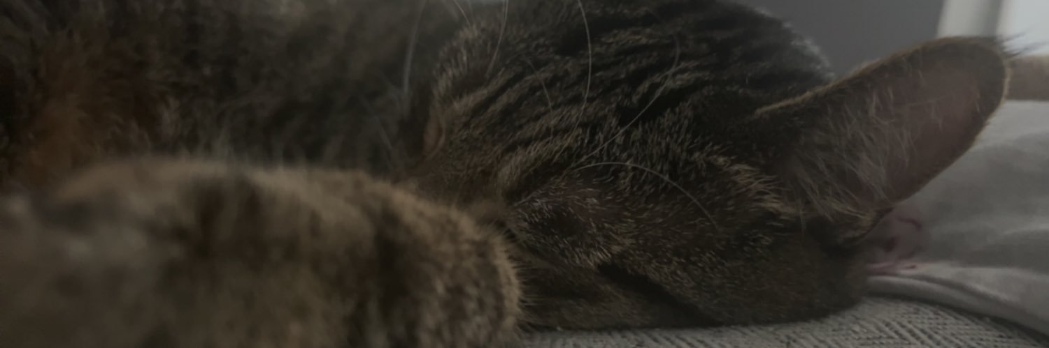 Loupppppppp's profile banner image