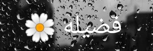 uminurfadhilah's profile banner image