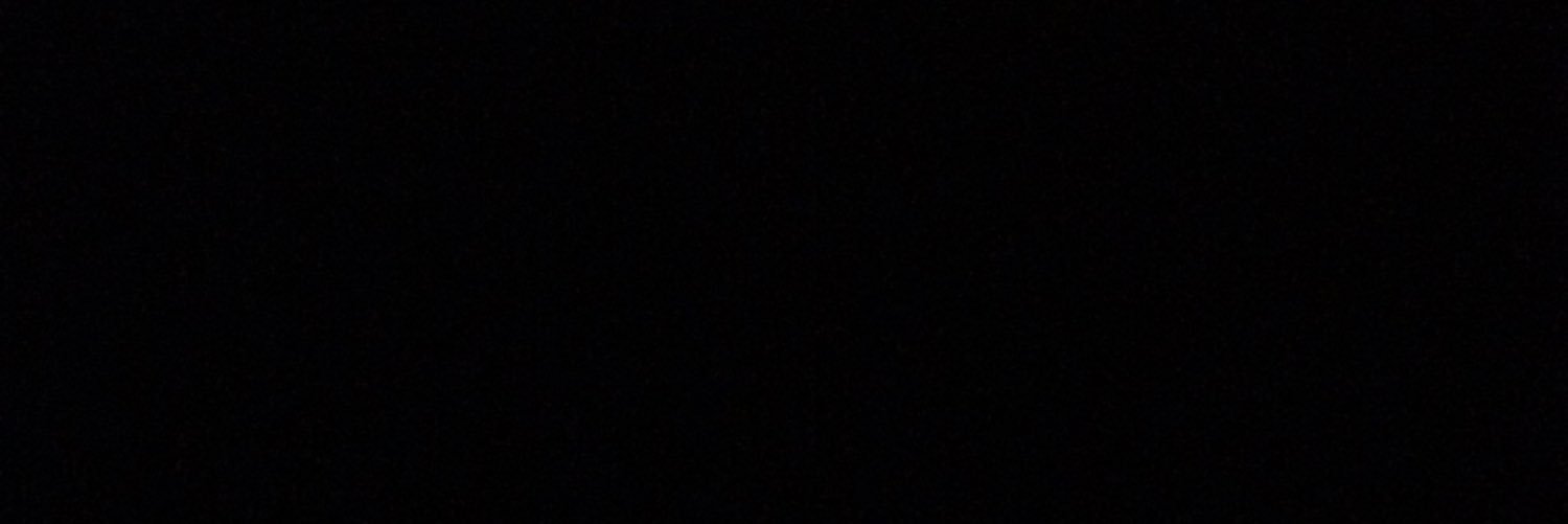 ninarpgvsd's profile banner image