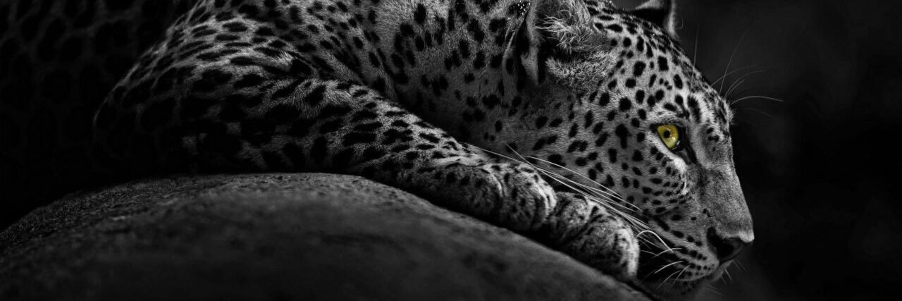 NurAfif97's profile banner image