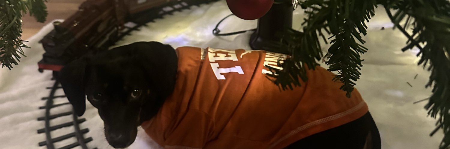 Dez884L's profile banner image