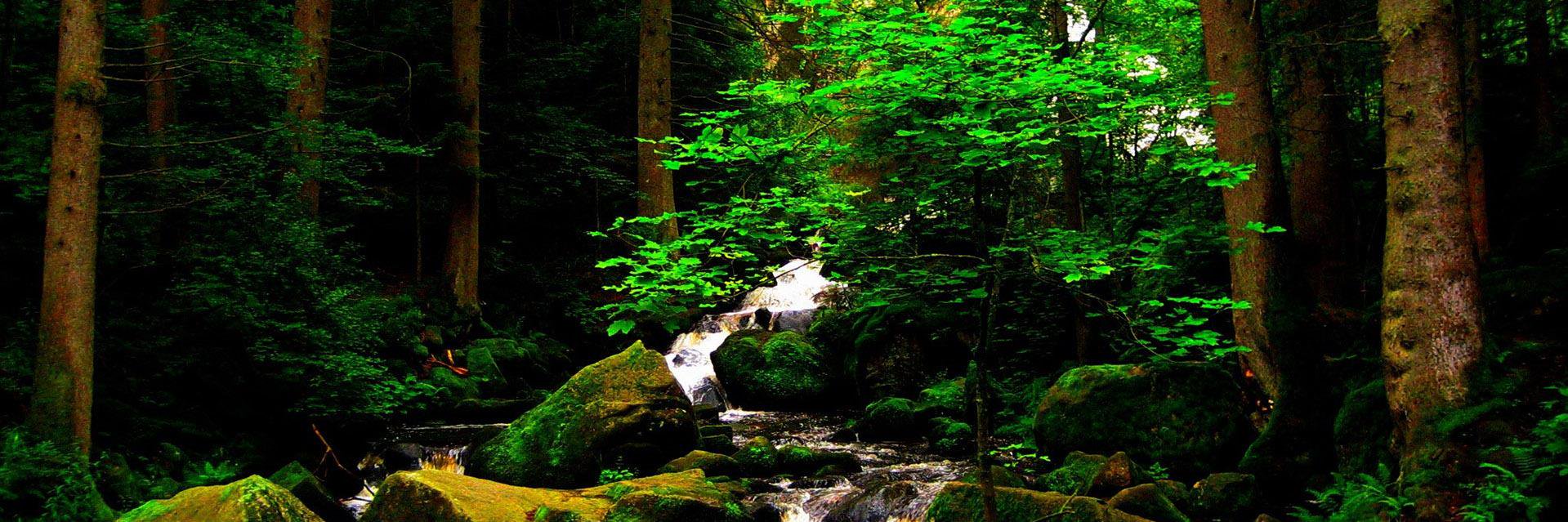 __XeroMan__'s profile banner image