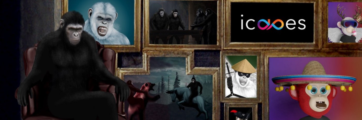 taccama's profile banner image