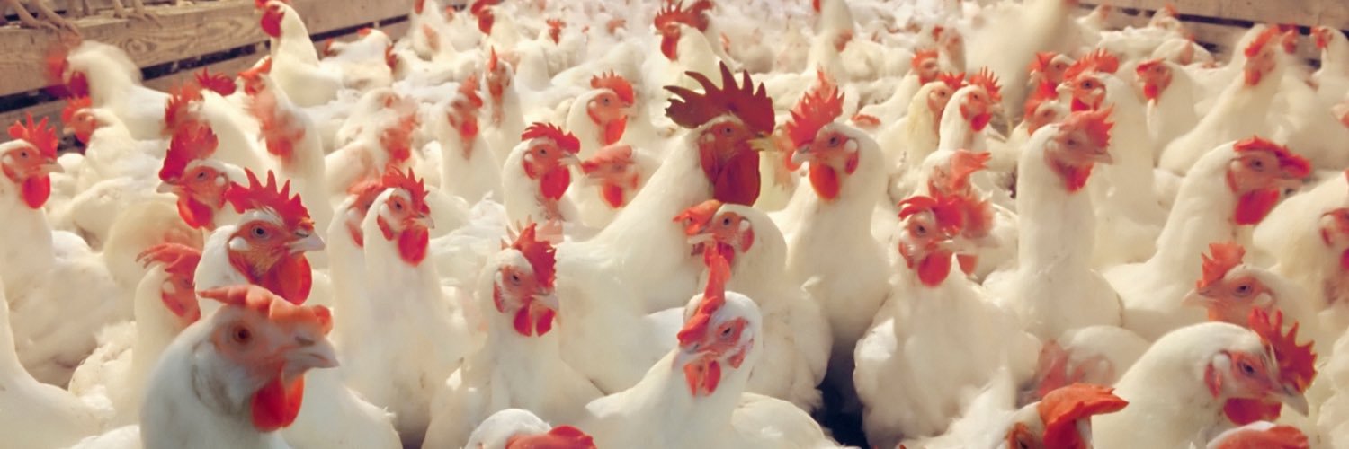 Michael Portillo banner